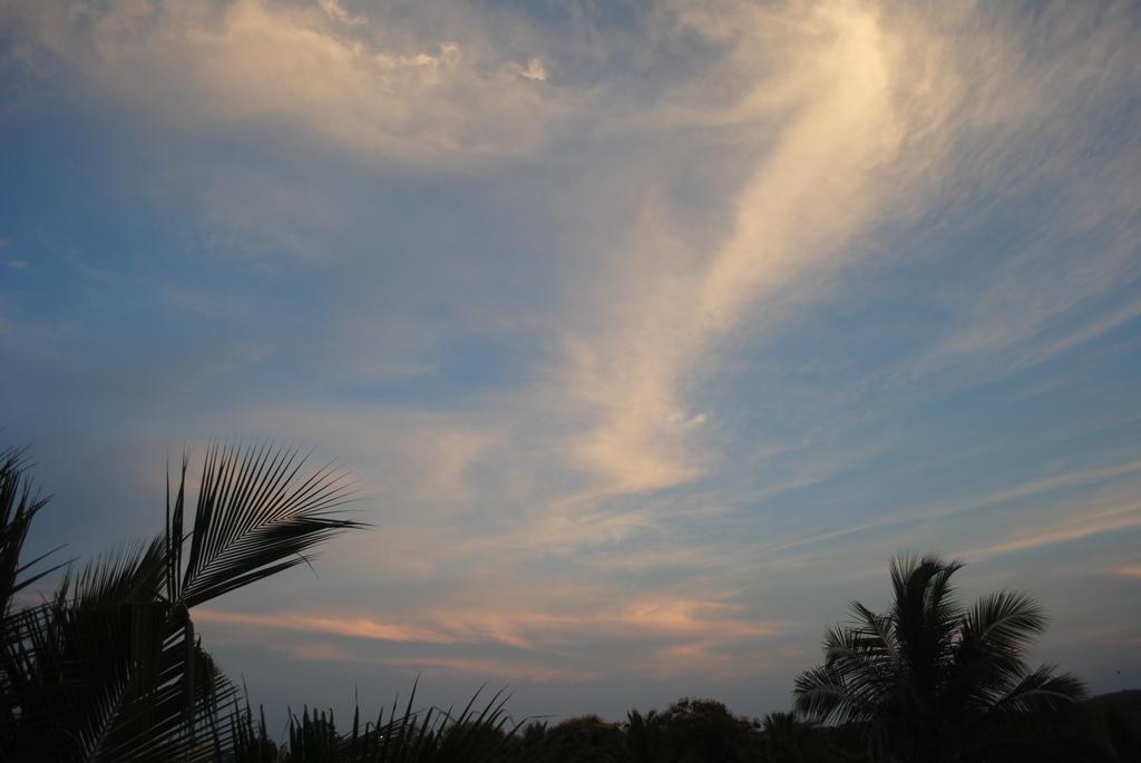Vinodhara Guest House Mahabalipuram Eksteriør bilde